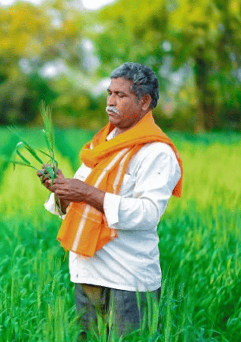 Soil is the True Wealth: Smart Tips for Fertile Land